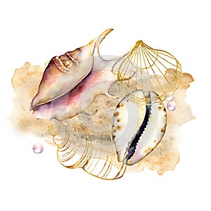 Watercolor composition with shells and pearls. Hand painted underwater elements isolated on white background. Aquatic