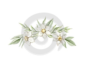 Watercolor composition wreath with green twigs, daisies flowers and leaves
