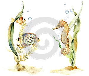 Watercolor compositions with tropical fishes and seahorse. Hand painted underwater floral illustration with algae and