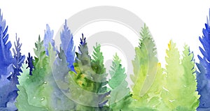 Watercolor coniferous forest illustration,