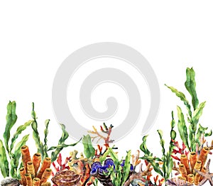 Watercolor coral reef border. Hand painted underwater illustration with laminaria branch, starfish, tridact, mollusk and