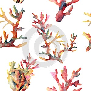 Watercolor coral seamless pattern. Hand painted ornament with underwater branches isolated on white background. Tropical