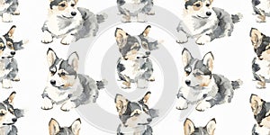 Watercolor corgi illustrations in a seamless pattern. Cute and fluffy dogs for textile or gift wrap photo