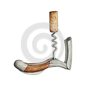 Watercolor corkscrew clipart Illustration