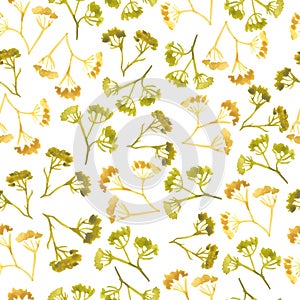 Watercolor corolla dill flower seamless pattern