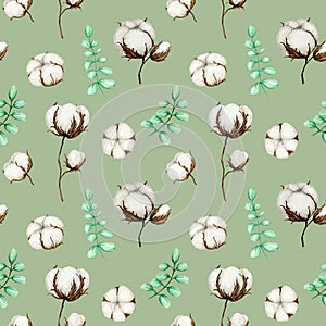 Watercolor cotton flower branches seamless pattern. Botanical Hand drawn Eco product illustration. Cotton flowers buds