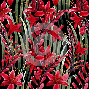 Watercolor crocosmia pattern