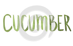 Watercolor Cucumber Lettering sketch isloated on white background