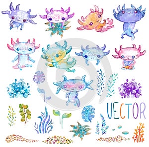 Watercolor cute axolotl characters for kid`s design