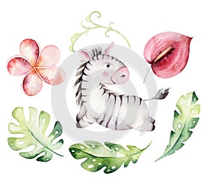 Watercolor cute baby cartoon zebra animal character isolated on white. Hand painted safari tropical little baby cat for