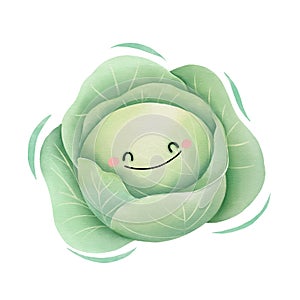Watercolor cute cabbage cartoon character. Vector illustration