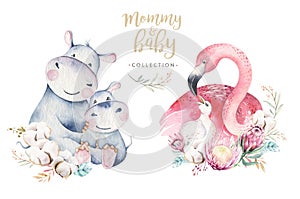 Watercolor cute cartoon illustration with cute mommy flamingo and baby, flower leaves. Mother hippo and baby