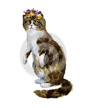 Watercolor cute cat. Funny illustration