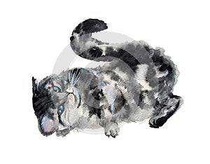 Watercolor cute cat. Funny illustration