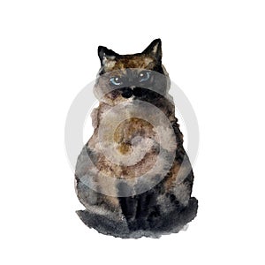 Watercolor cute cat. Funny illustration