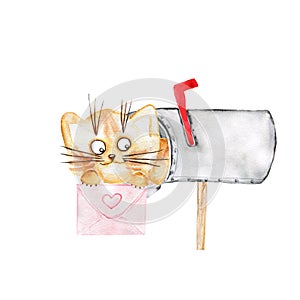 Watercolor cute cat postman. Pets. Funny kitten. Children's illustration
