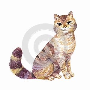 Watercolor cute cat, vector illustration