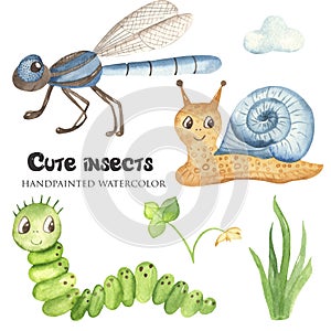 Watercolor cute childish cartoon illustration with insects.