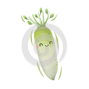 Watercolor cute daikon cartoon character. Vector illustration