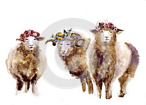 Watercolor cute farm animals on the white background