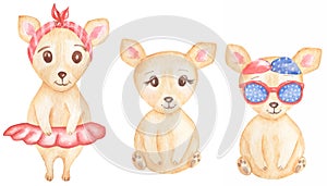 Watercolor Cute fashion chihuahua Dogs clipart set, Beige baby dog illustration, Domestic animals clip art