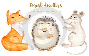 Watercolor cute forest dwellers on a white background. photo