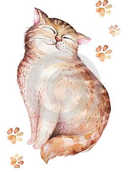 Watercolor cute isolated cat ilustration. Love cartoon cats character for valentine`s card. Nursary art design.