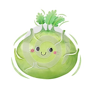 Watercolor cute kohlrabi cartoon character. Vector illustration