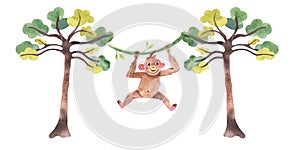 Watercolor cute monkey illustration hanginig on tree isolated on white background