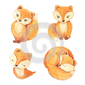 Watercolor cute orange foxes set
