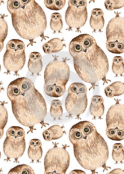 Watercolor cute owls pattern. Birds background