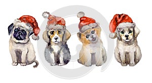 Watercolor cute pets animals on the white background