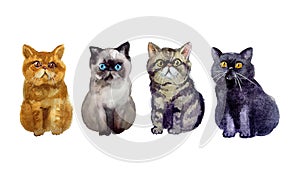 Watercolor cute pets animals on the white background