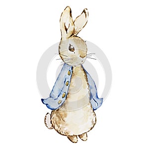 Watercolor cute rabbit in a blue jacket