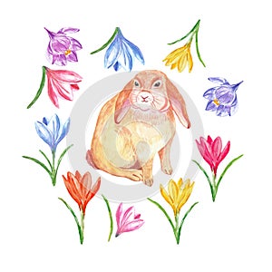 Watercolor cute rabbit isolated on wite background. Easter bunny with colorful spring flowers for cards, invitations photo