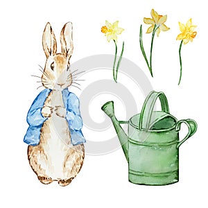 Watercolor cute rabbits in a blue jacket