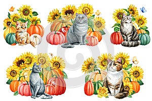 Watercolor cute sats and yellow flowers, sunflower pumpkin and butterflies set isolated white background, Autumn animal photo