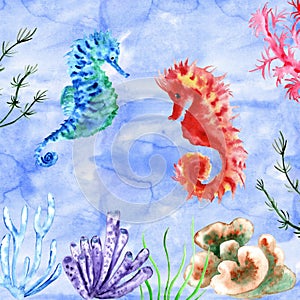 Watercolor Cute Seahorses Painting Illustrtion seaweed