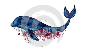 Watercolor cute whale animals on the white background