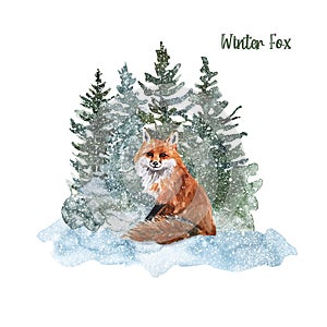 Watercolor cute woodland animal and evergreen trees illustration. Hand painted fox in a pine forest, isolated on white background.