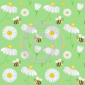 Watercolor daisy chamomile flower seamless pattern with fly bee illustration. Hand drawn botanical herbs on green