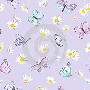 Watercolor daisy flowers and butterfly vector background. Seamless spring floral pattern