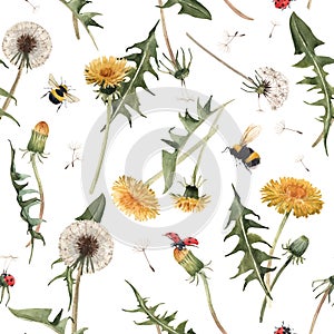 Watercolor dandelion blowball floral seamless pattern