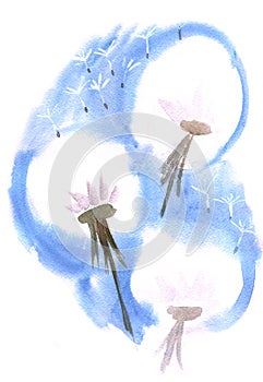 Watercolor dandelion flowers impression painting