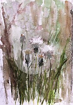 Watercolor with dandelions