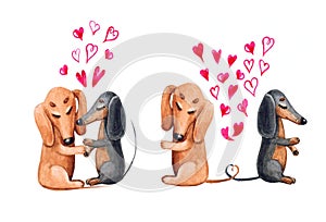 Watercolor decorative cute dachshunds in love