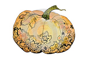 Watercolor decorative pumpkin