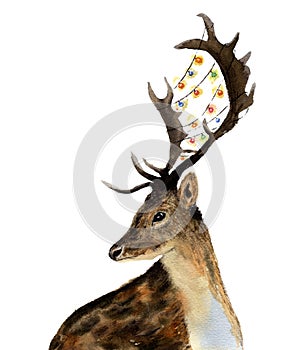 Watercolor deer with garland of lights on horns isolated on white background. Christmas wild animal illustration for