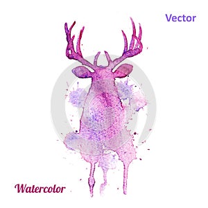 Watercolor deer head Vector on the white