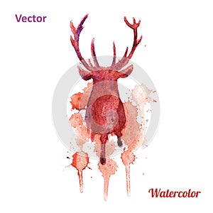 Watercolor deer head Vector on the white